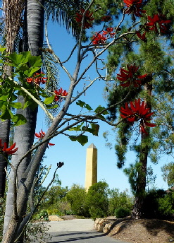 15 coral tree with obelisk resized