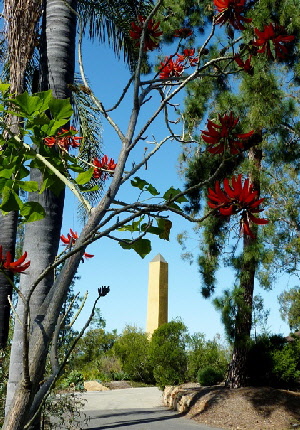 15 coral tree with obelisk resized